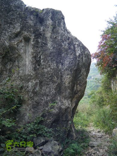 15.9.20南太行西沟到双底白径古道红豆杉大峡谷DSCF0027