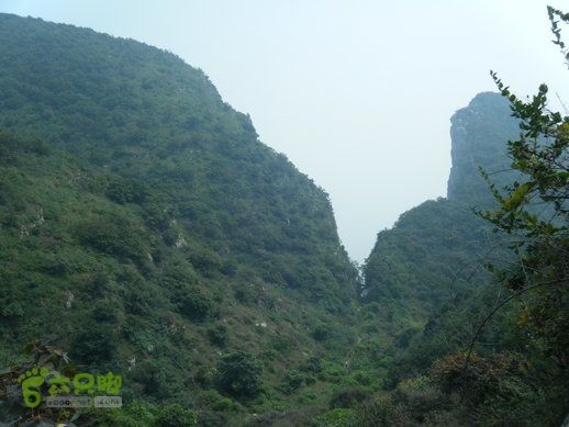 15.9.20南太行西沟到双底白径古道红豆杉大峡谷DSCF0031