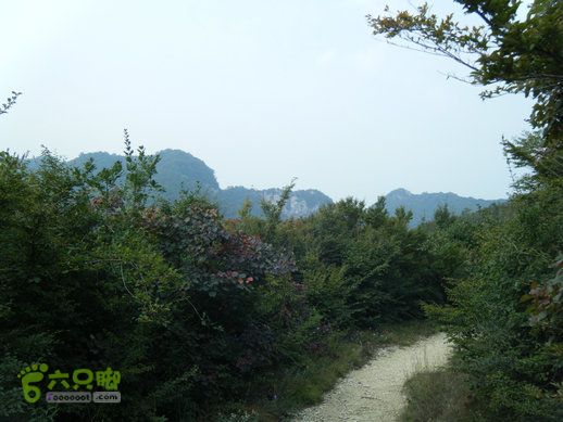 15.9.20南太行西沟到双底白径古道红豆杉大峡谷DSCF0035