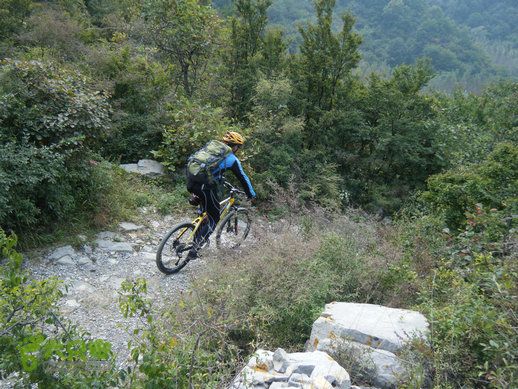 15.9.20南太行西沟到双底白径古道红豆杉大峡谷DSCF0038