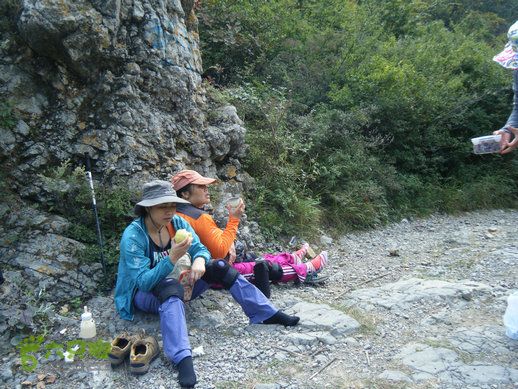 15.9.20南太行西沟到双底白径古道红豆杉大峡谷DSCF0039