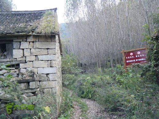 15.9.20南太行西沟到双底白径古道红豆杉大峡谷DSCF0040