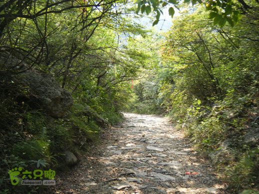 15.9.20南太行西沟到双底白径古道红豆杉大峡谷DSCF0041