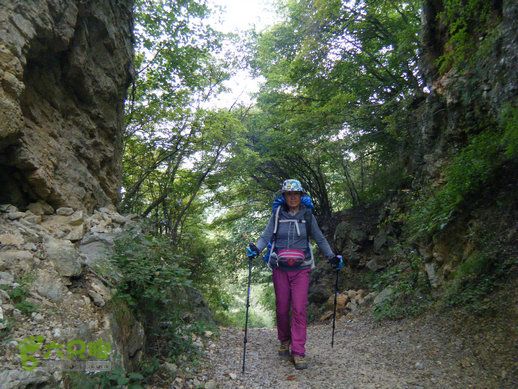 15.9.20南太行西沟到双底白径古道红豆杉大峡谷DSCF0043