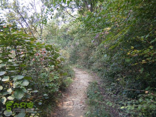 15.9.20南太行西沟到双底白径古道红豆杉大峡谷DSCF0049