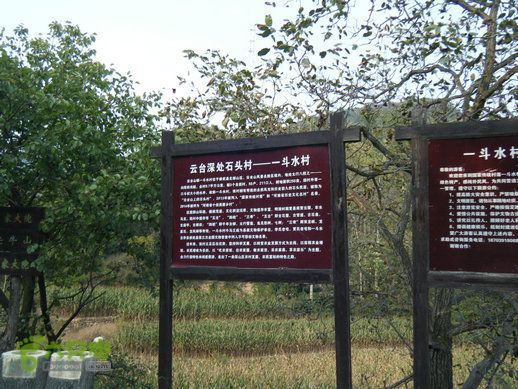 15.9.20南太行西沟到双底白径古道红豆杉大峡谷DSCF0056