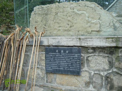 15.9.20南太行西沟到双底白径古道红豆杉大峡谷DSCF0060