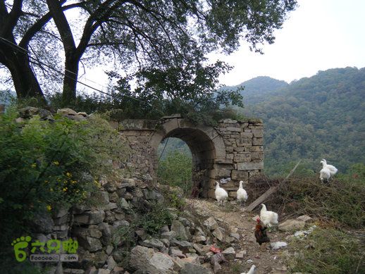 15.9.20南太行西沟到双底白径古道红豆杉大峡谷DSCF0062