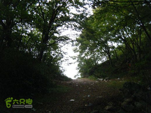 15.9.20南太行西沟到双底白径古道红豆杉大峡谷DSCF0063