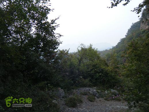 15.9.20南太行西沟到双底白径古道红豆杉大峡谷DSCF0064