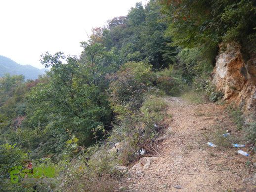 15.9.20南太行西沟到双底白径古道红豆杉大峡谷DSCF0065