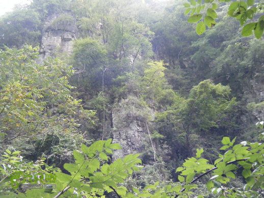 15.9.20南太行西沟到双底白径古道红豆杉大峡谷DSCF0066