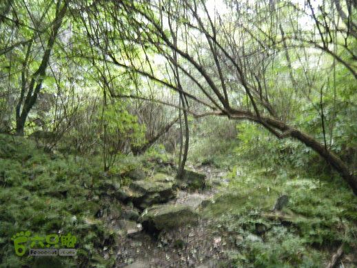 15.9.20南太行西沟到双底白径古道红豆杉大峡谷DSCF0067