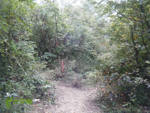 15.9.20南太行西沟到双底白径古道红豆杉大峡谷DSCF0068