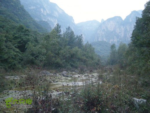 15.9.20南太行西沟到双底白径古道红豆杉大峡谷DSCF0069