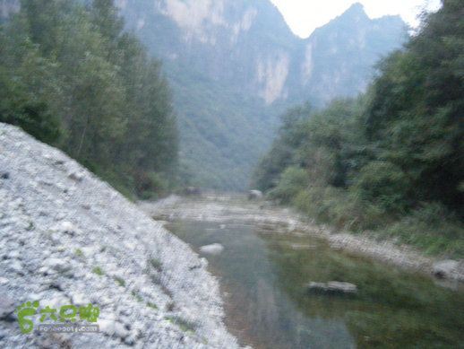 15.9.20南太行西沟到双底白径古道红豆杉大峡谷DSCF0070
