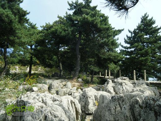 15.9.23南太行之东庙华五莽岭磨剑峰瀑布南坪DSCF0372