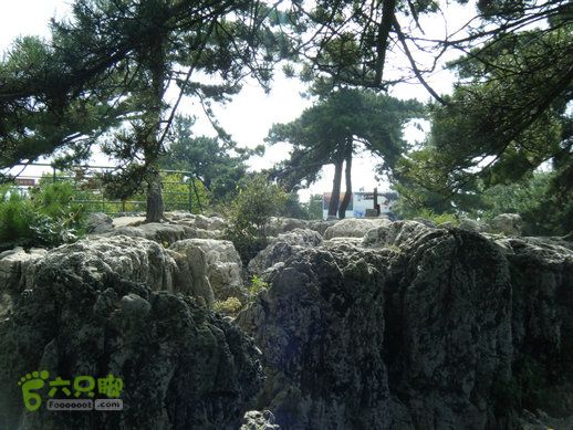 15.9.23南太行之东庙华五莽岭磨剑峰瀑布南坪DSCF0373