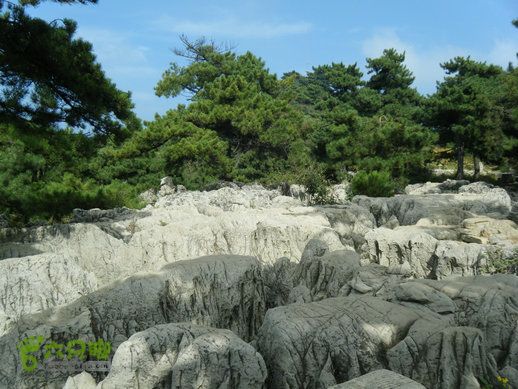 15.9.23南太行之东庙华五莽岭磨剑峰瀑布南坪DSCF0375