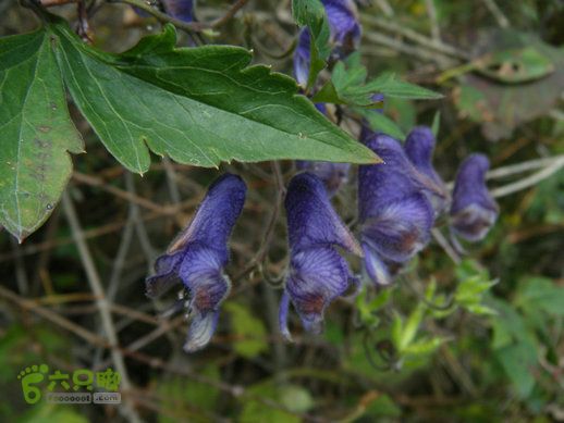 15.9.23南太行之东庙华五莽岭磨剑峰瀑布南坪DSCF0379