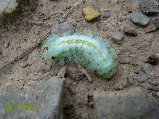 15.9.23南太行之东庙华五莽岭磨剑峰瀑布南坪DSCF0405