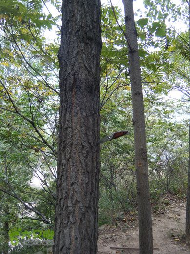 15.9.23南太行之东庙华五莽岭磨剑峰瀑布南坪DSCF0425