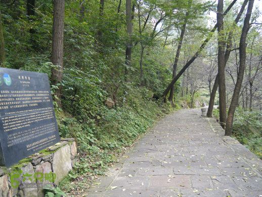 15.9.23南太行之东庙华五莽岭磨剑峰瀑布南坪DSCF0434