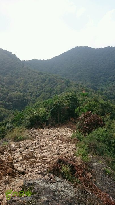 杨汛桥紫薇广场-牛头山仙岩禅师（仙岩洞寺）-西天竺狮林禅寺-芝塘湖2015-09-26 09:43:50