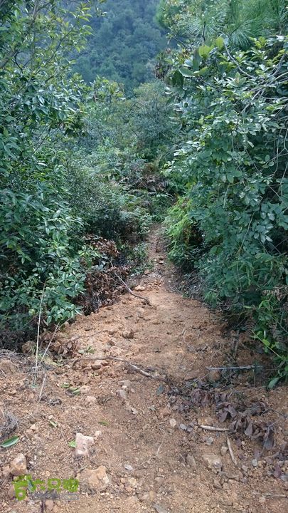 杨汛桥紫薇广场-牛头山仙岩禅师（仙岩洞寺）-西天竺狮林禅寺-芝塘湖野道