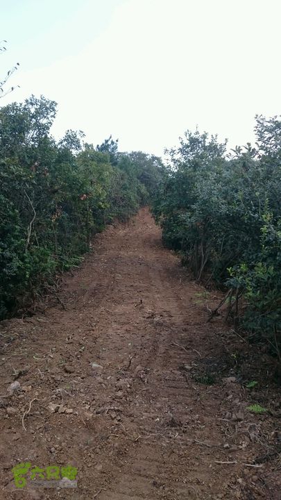 杨汛桥紫薇广场-牛头山仙岩禅师（仙岩洞寺）-西天竺狮林禅寺-芝塘湖防火道