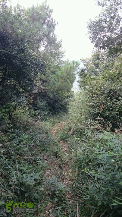 杨汛桥紫薇广场-牛头山仙岩禅师（仙岩洞寺）-西天竺狮林禅寺-芝塘湖通向芝塘湖的古道