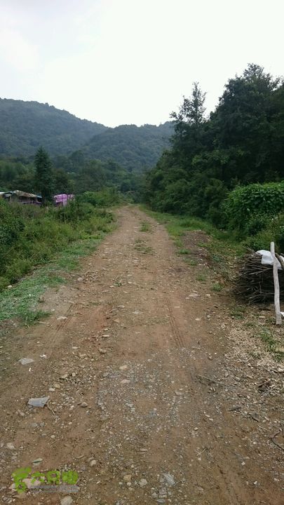 杨汛桥紫薇广场-牛头山仙岩禅师（仙岩洞寺）-西天竺狮林禅寺-芝塘湖岔路