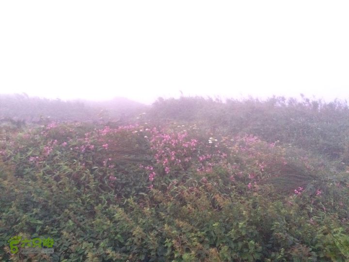 坪溪林道上广东第一峰石坑崆IMG_4714