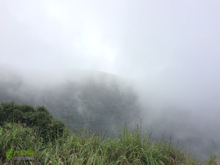 坪溪林道上广东第一峰石坑崆IMG_4729