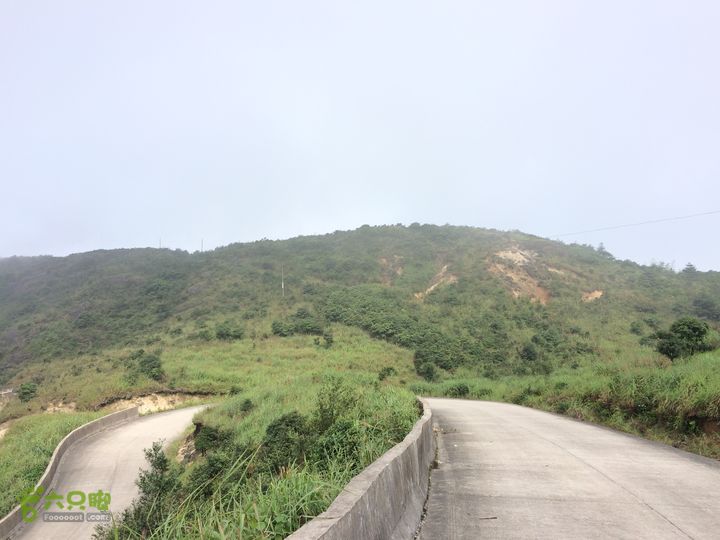 坪溪林道上广东第一峰石坑崆IMG_4732