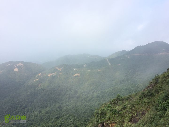 坪溪林道上广东第一峰石坑崆IMG_4733