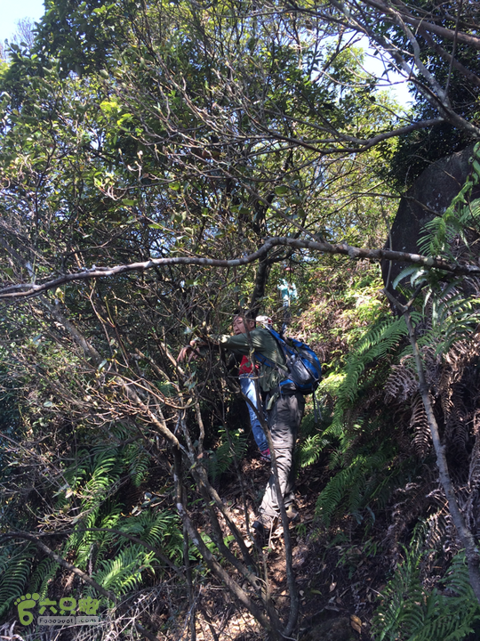 龙门站－深坑里－金鸡翼－茶洋山－清娘洞－真珠磹－水岸君山穿越2015-09-27 10:43:07
