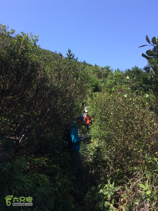 龙门站－深坑里－金鸡翼－茶洋山－清娘洞－真珠磹－水岸君山穿越2015-09-27 12:23:04
