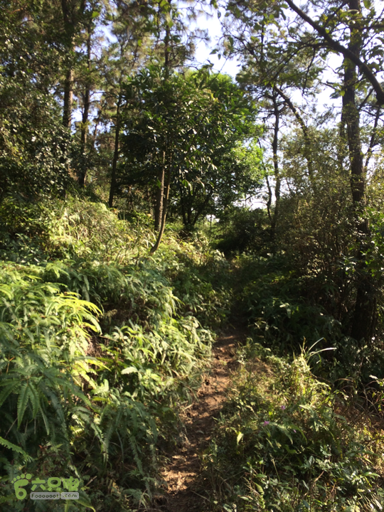 龙门站－深坑里－金鸡翼－茶洋山－清娘洞－真珠磹－水岸君山穿越2015-09-27 15:01:35