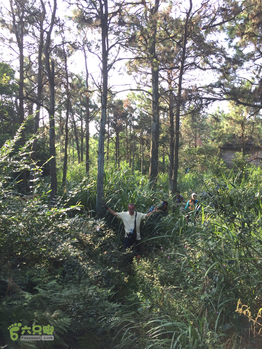 龙门站－深坑里－金鸡翼－茶洋山－清娘洞－真珠磹－水岸君山穿越2015-09-27 15:42:56