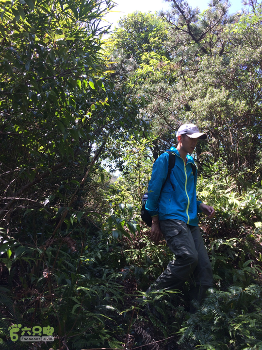 龙门站－深坑里－金鸡翼－茶洋山－清娘洞－真珠磹－水岸君山穿越2015-09-27 12:17:30