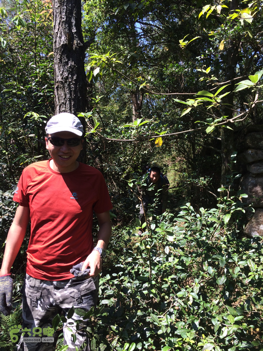 龙门站－深坑里－金鸡翼－茶洋山－清娘洞－真珠磹－水岸君山穿越2015-09-27 11:50:52