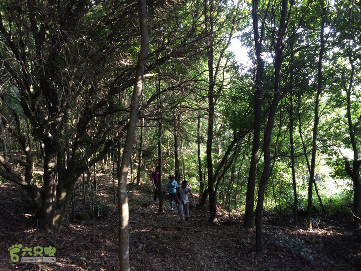龙门站－深坑里－金鸡翼－茶洋山－清娘洞－真珠磹－水岸君山穿越2015-09-27 16:02:00