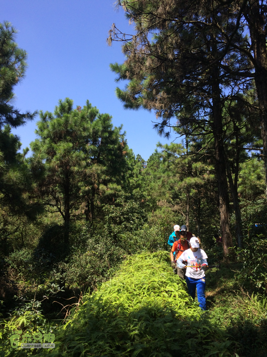 龙门站－深坑里－金鸡翼－茶洋山－清娘洞－真珠磹－水岸君山穿越2015-09-27 12:05:37