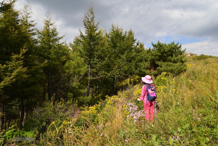 古交狐爷山（狐偃山）DSC_3394
