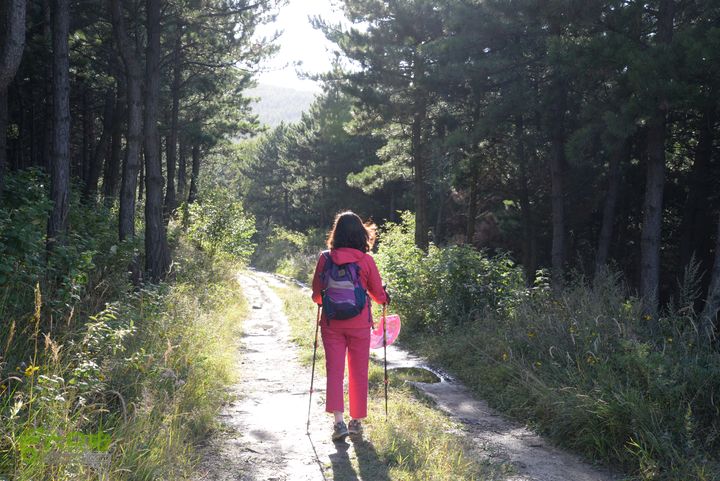 古交狐爷山（狐偃山）DSC_3574