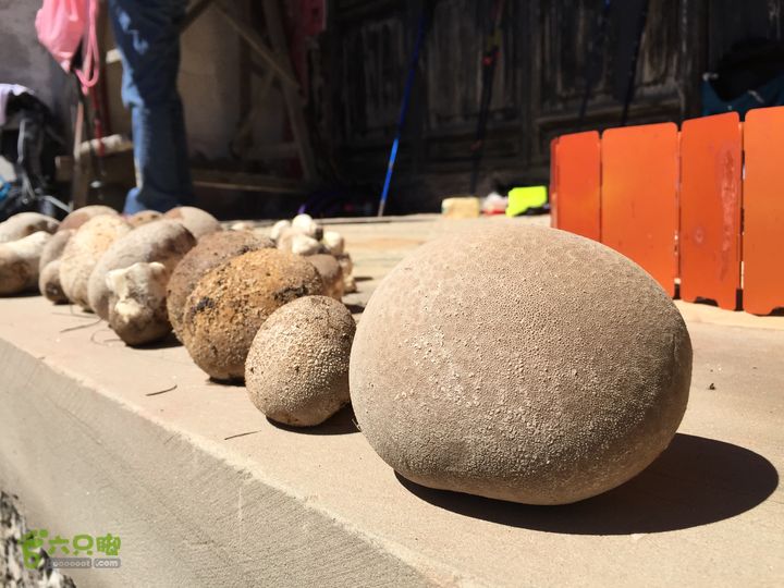 古交狐爷山（狐偃山）IMG_4746