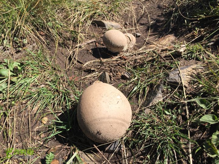 古交狐爷山（狐偃山）IMG_4671