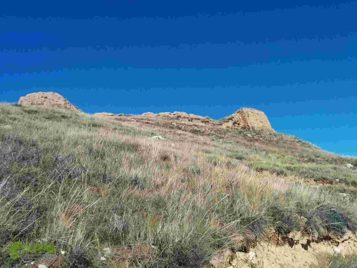 地椒峁野猪口南寨北场堡