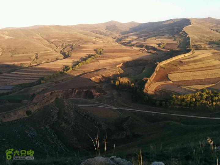 地椒峁野猪口南寨野猪口1